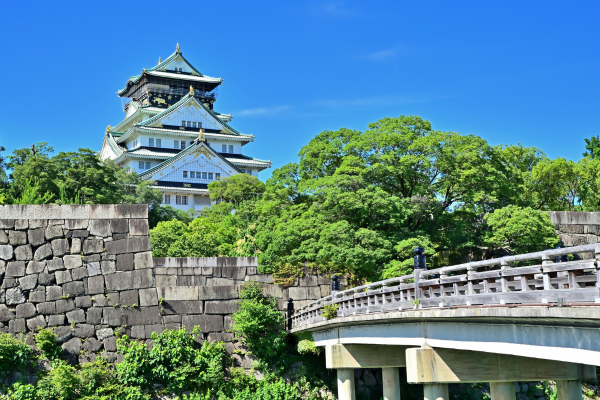 Japan Uncovered