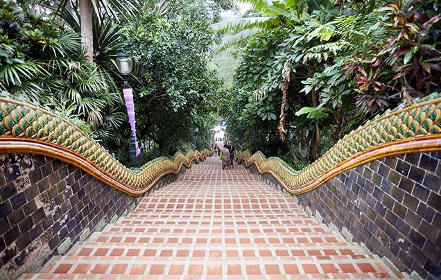 DAY 5 EXPLORE CHIANG MAI BY CYCLO