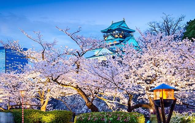 Japan Local Tour Company Japan Local Tour Company