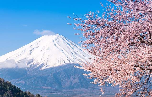 Day 5: Mount Fuji