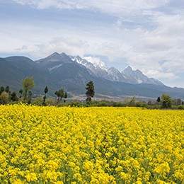 Discover Yunnan tour