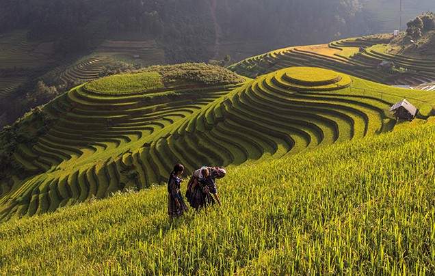 Days 11-12 Sapa