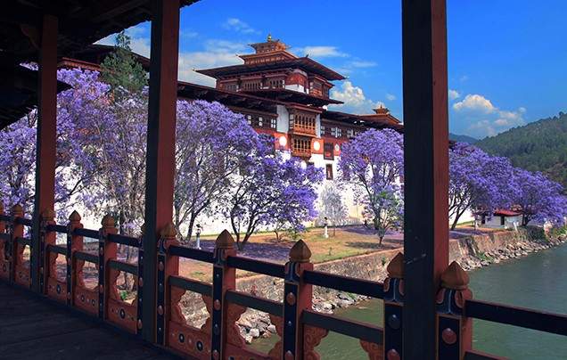 Day 17: Travel to Gangtey