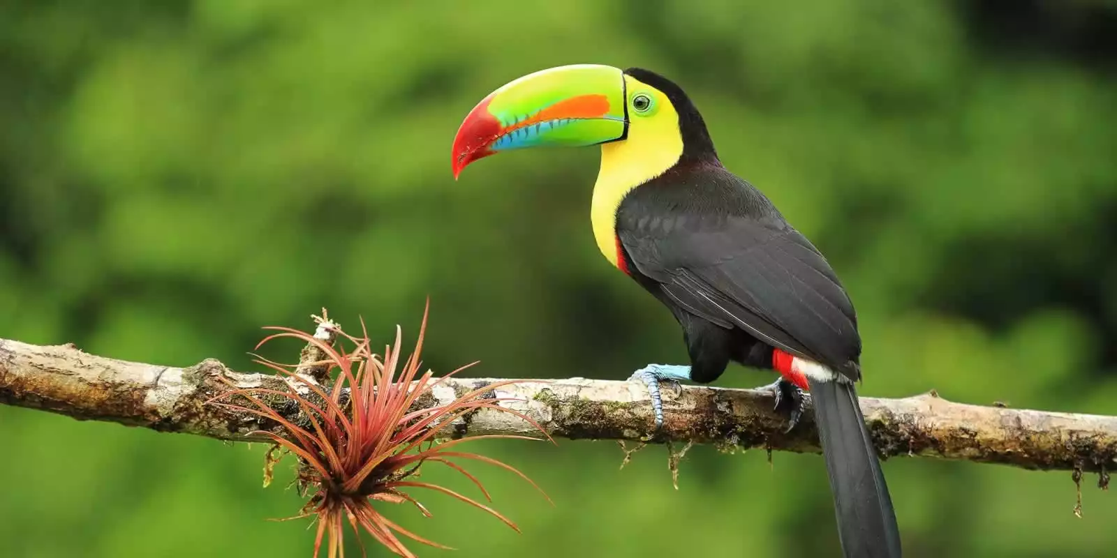 Costa Rica Holidays
