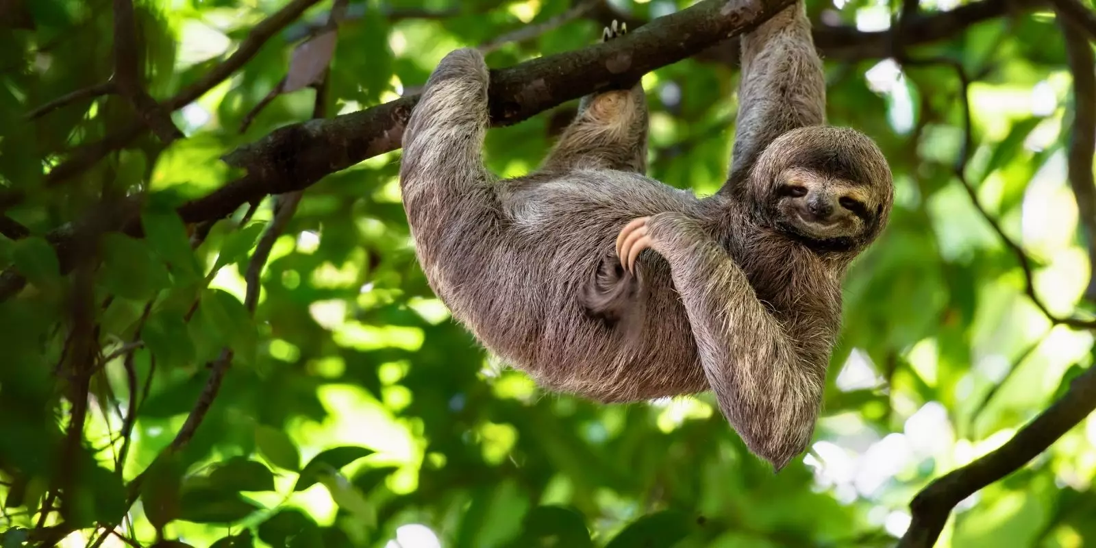 Costa Rica Holidays