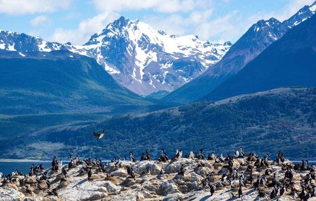 Day 3: Depart Ushuaia