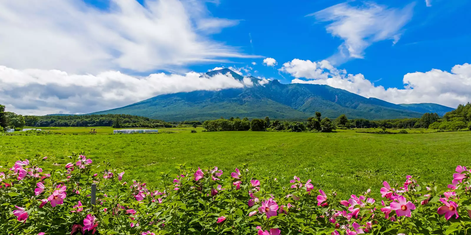 Iwate Prefecture Holidays