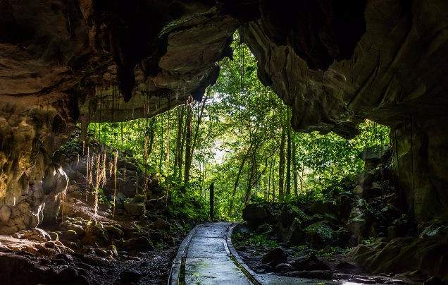 Day 14 Return to Kota Kinabalu