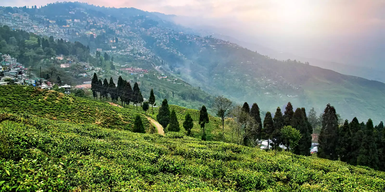 Darjeeling Holidays