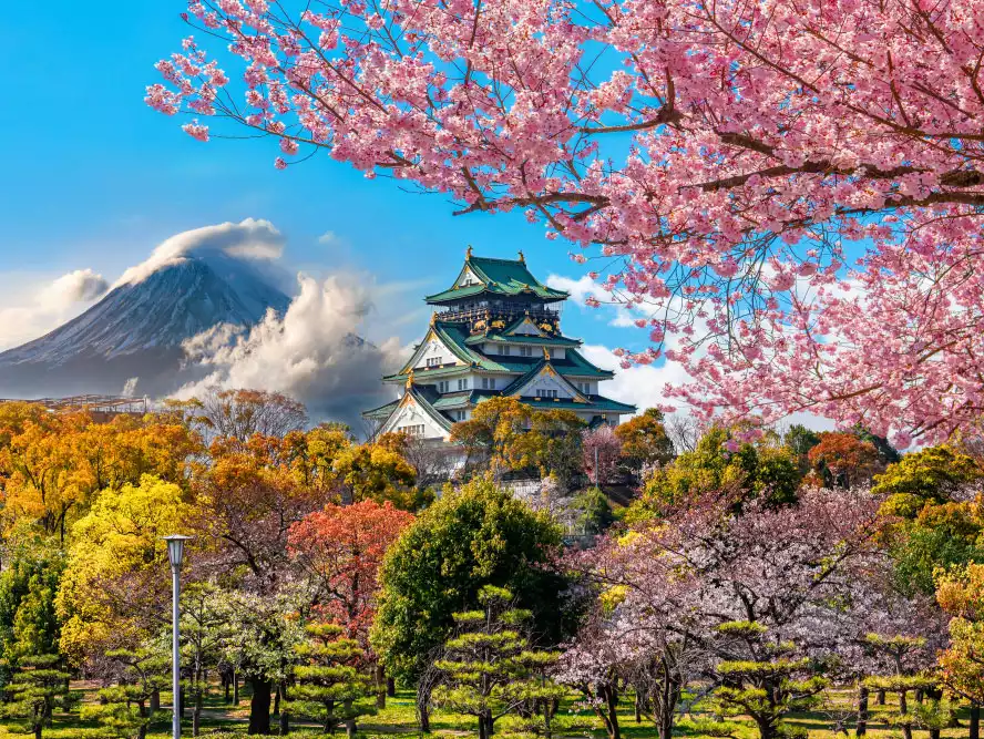 Japan set to list testing requirements