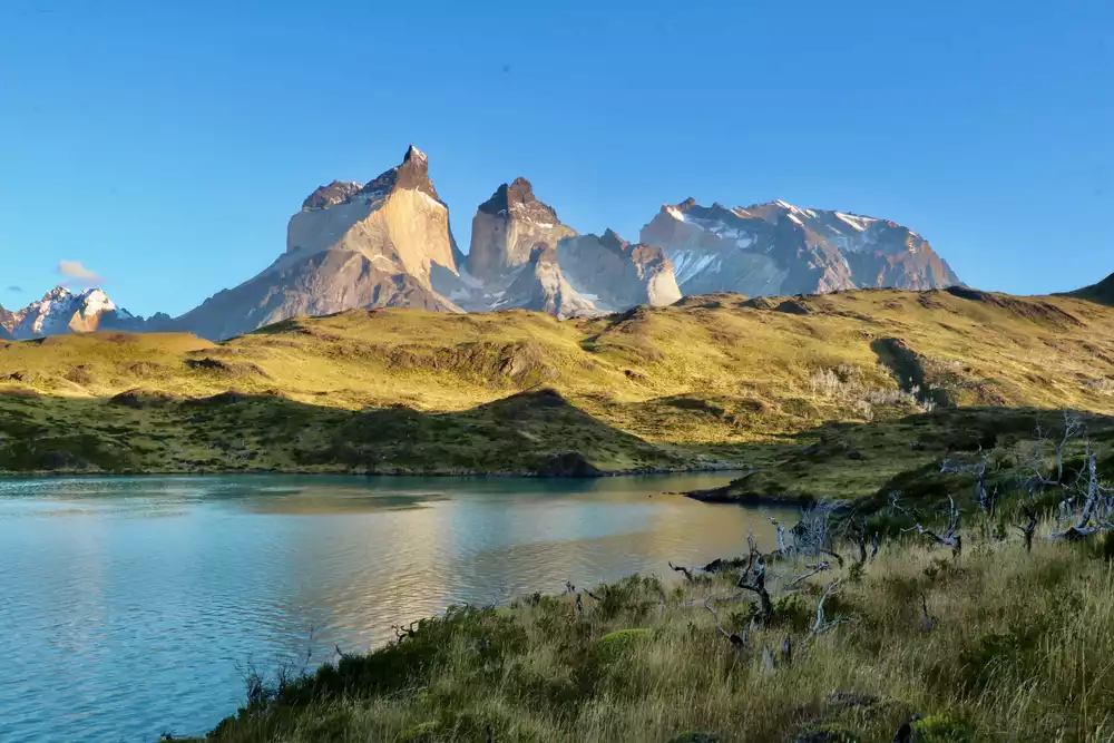 New 2024-25 Latin America Brochure