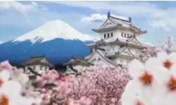 Japanese Government Considers Opening Borders