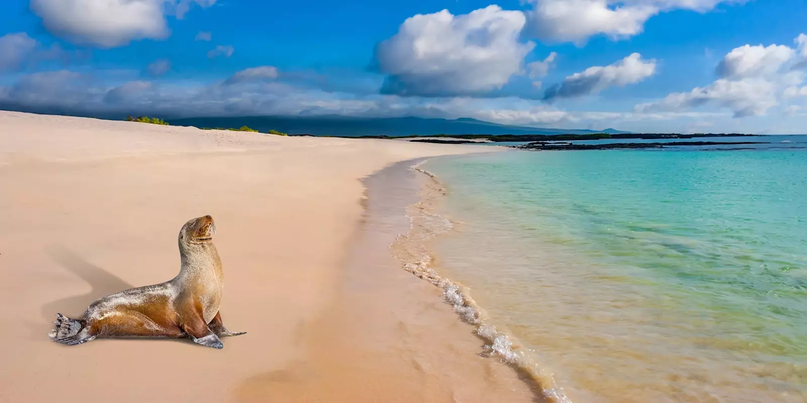 The Galapagos Islands Holidays