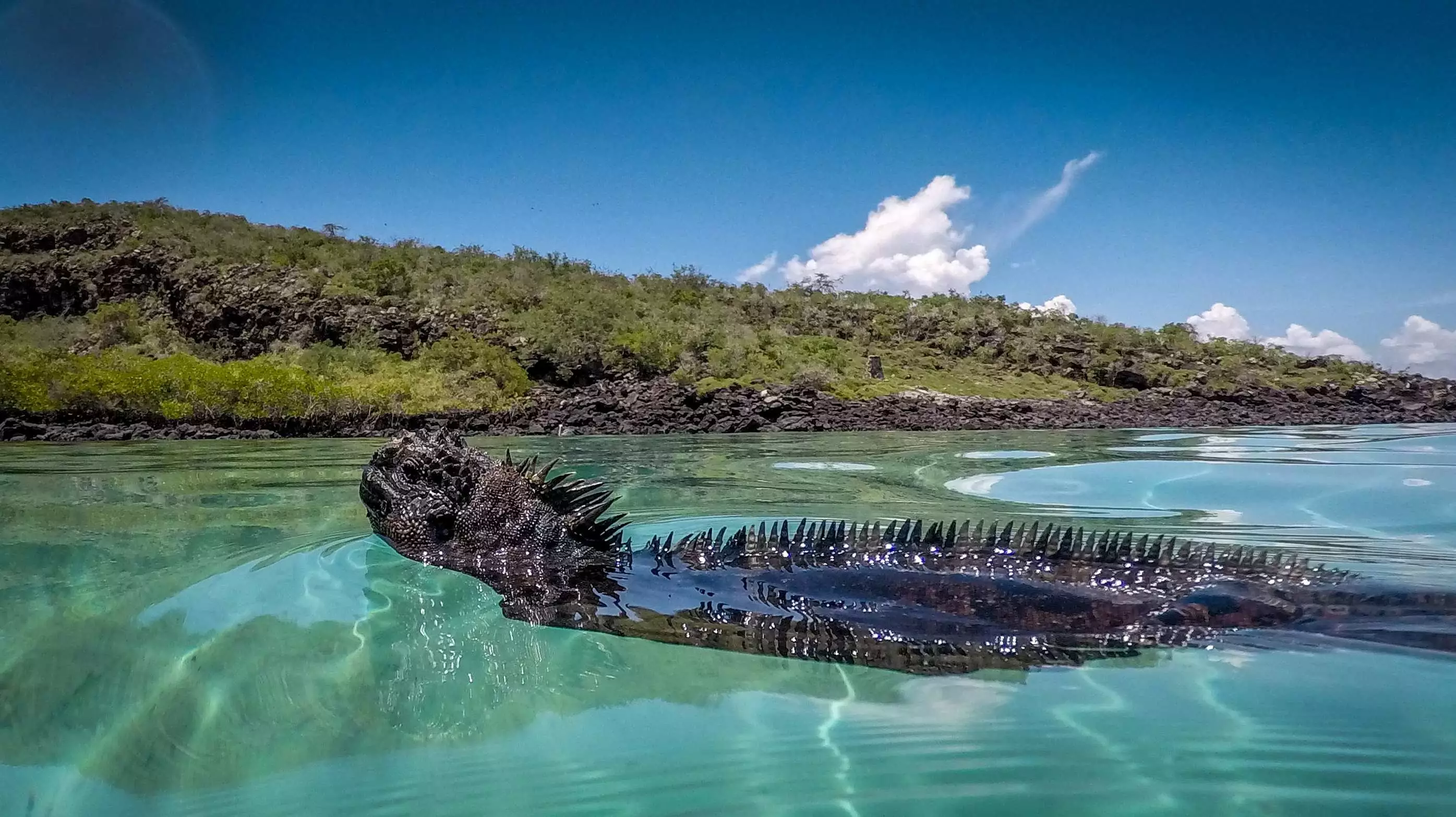 Galapagos by Sea