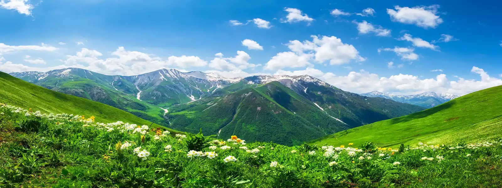 Georgia Holidays