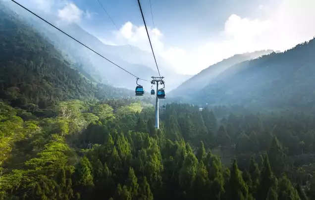 Day 5: Tea Plantation