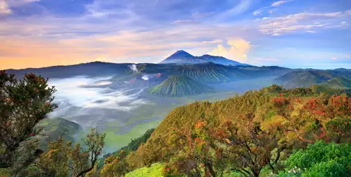 Immerse yourself in Indonesia