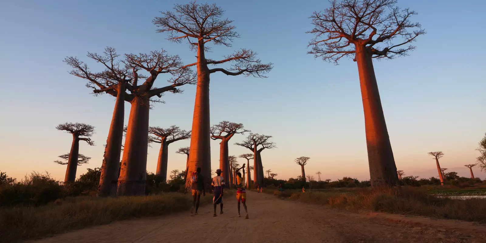 Go Beyond Tours