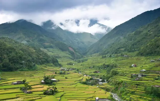 DAY 6 HAPAO RICE TERRACES