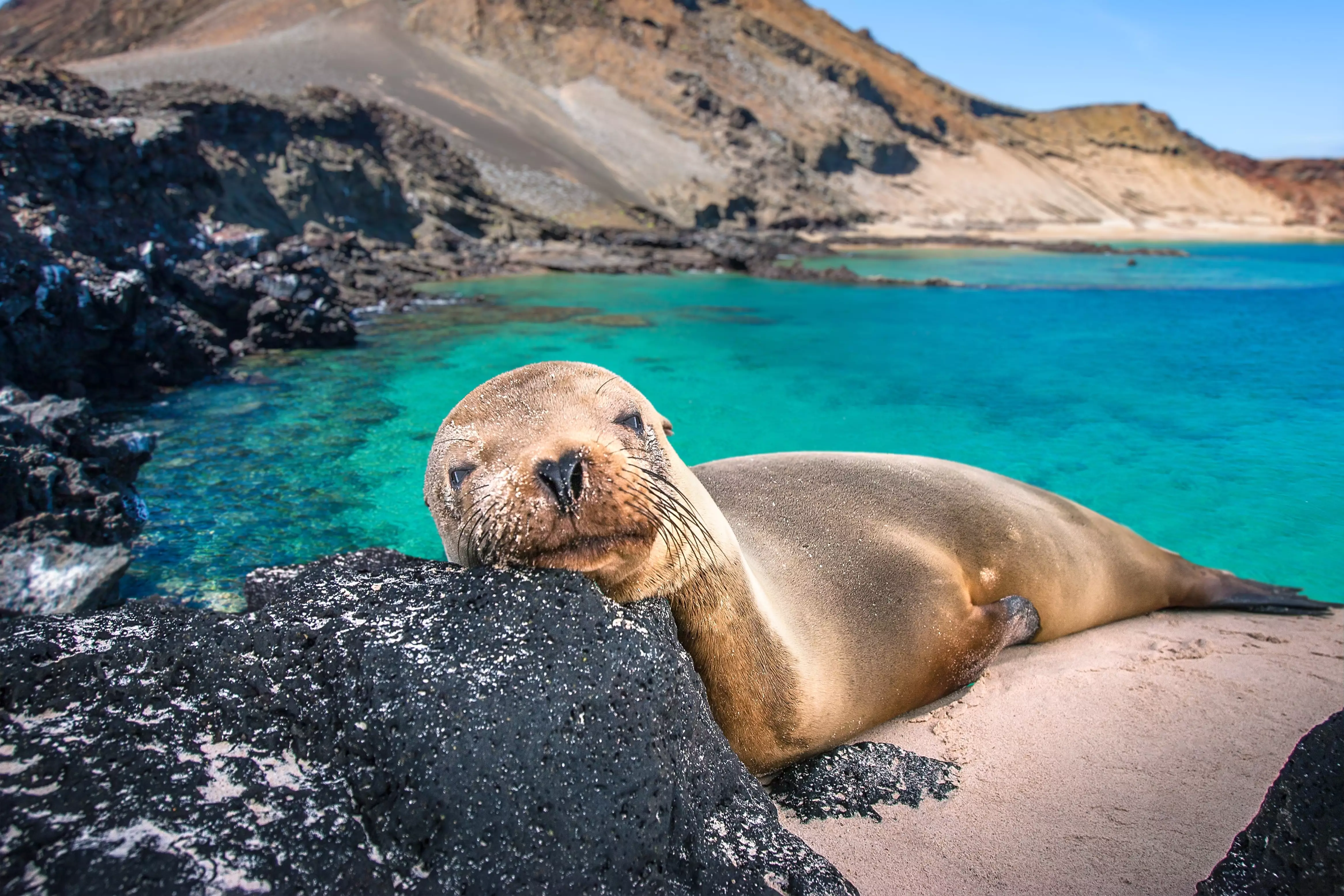 Galapagos by Land