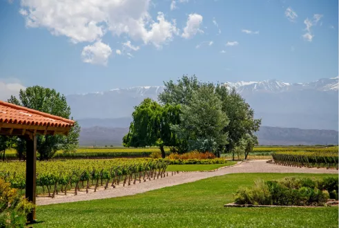 Mendoza Winelands Short Stay