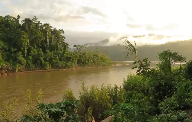 Day 3: Amazon River