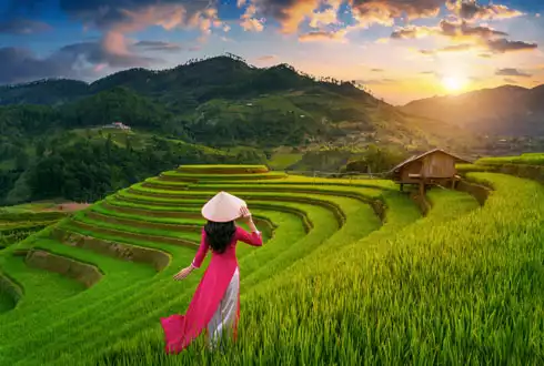 Solo Travellers Sale up to £1,550pp
