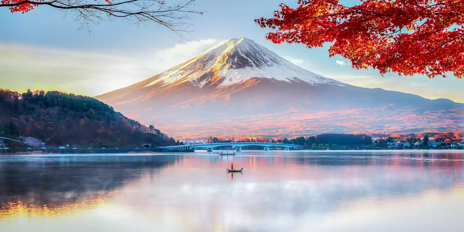Japan Autumn Leaves Offers