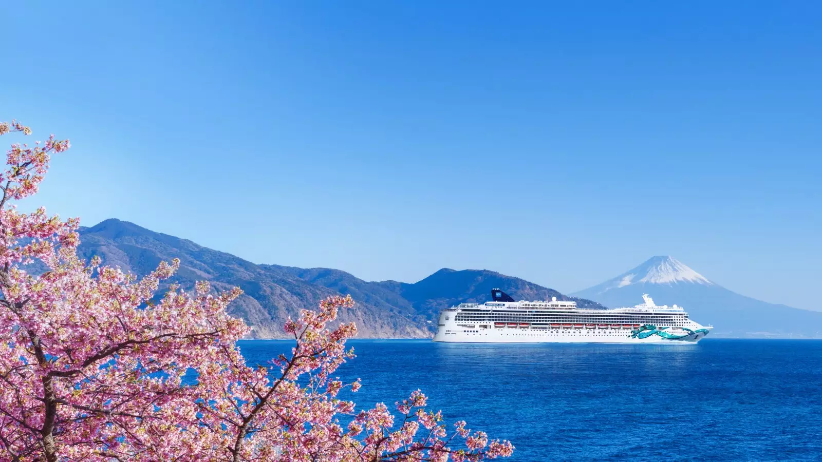 Ocean & River Cruise