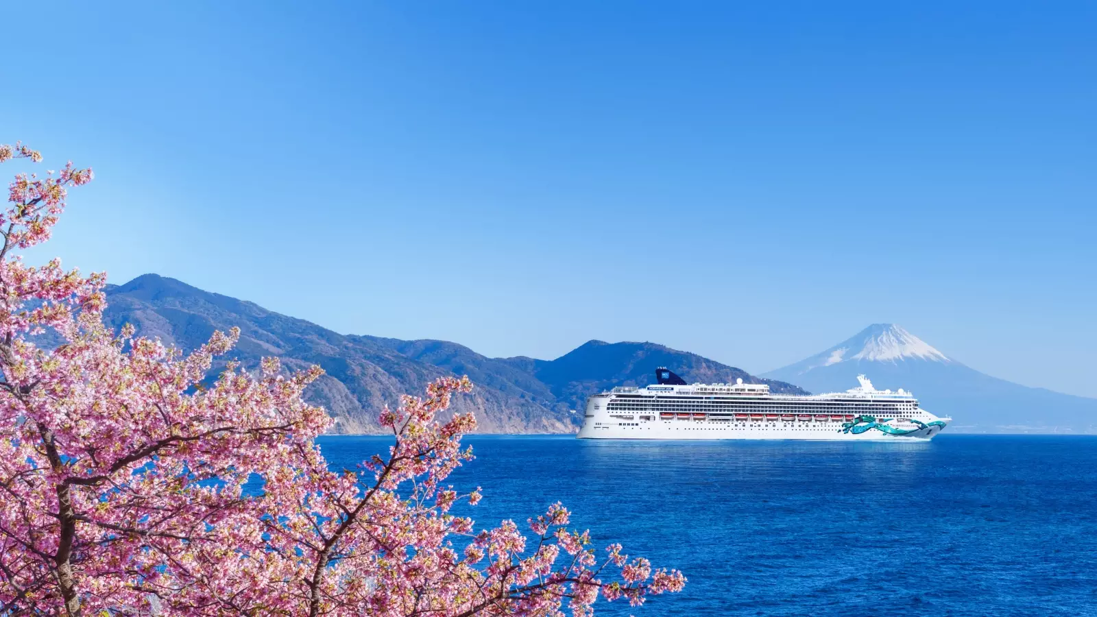 Cruise & Tour - Virtual Travel Show