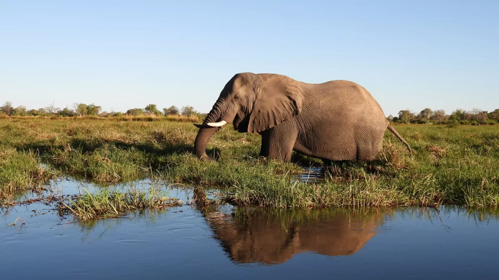 Africa - Virtual Travel Show