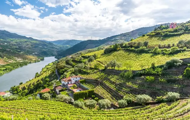 Day 6: Douro Valley