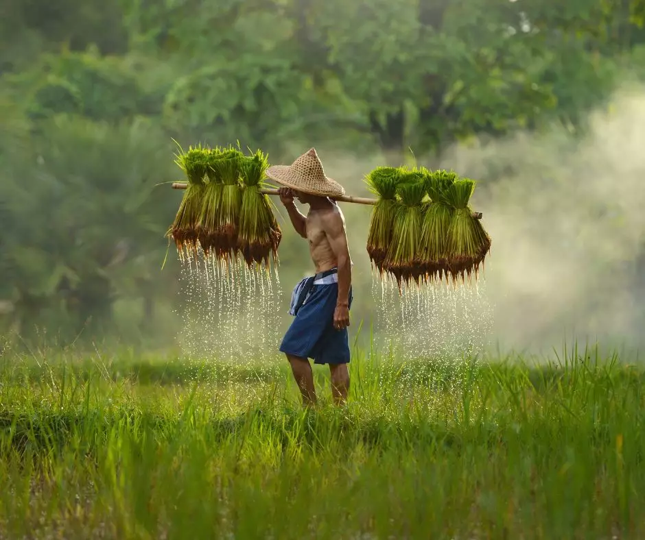 Southeast Asia Brochure Launch Virtual Travel Show