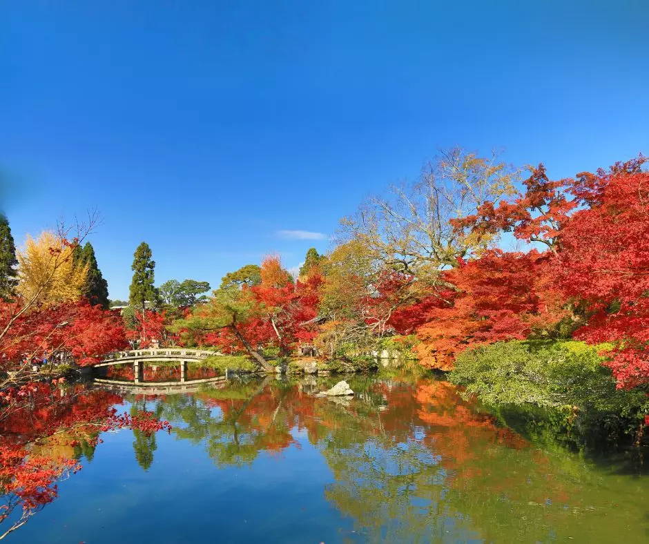 Japan Autumn Leaves Virtual Travel Show