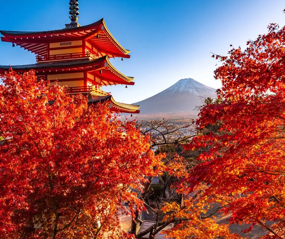 Off-Peak Japan