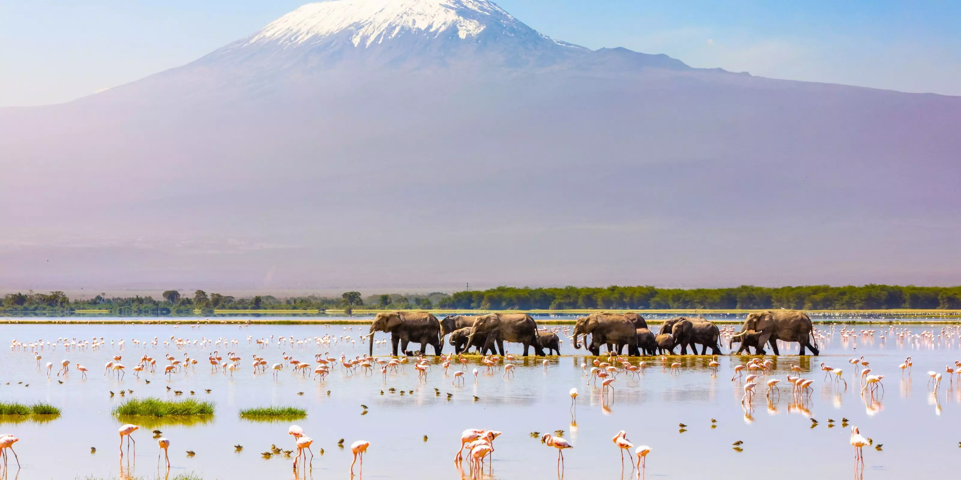 Treasures of Kenya & Tanzania
