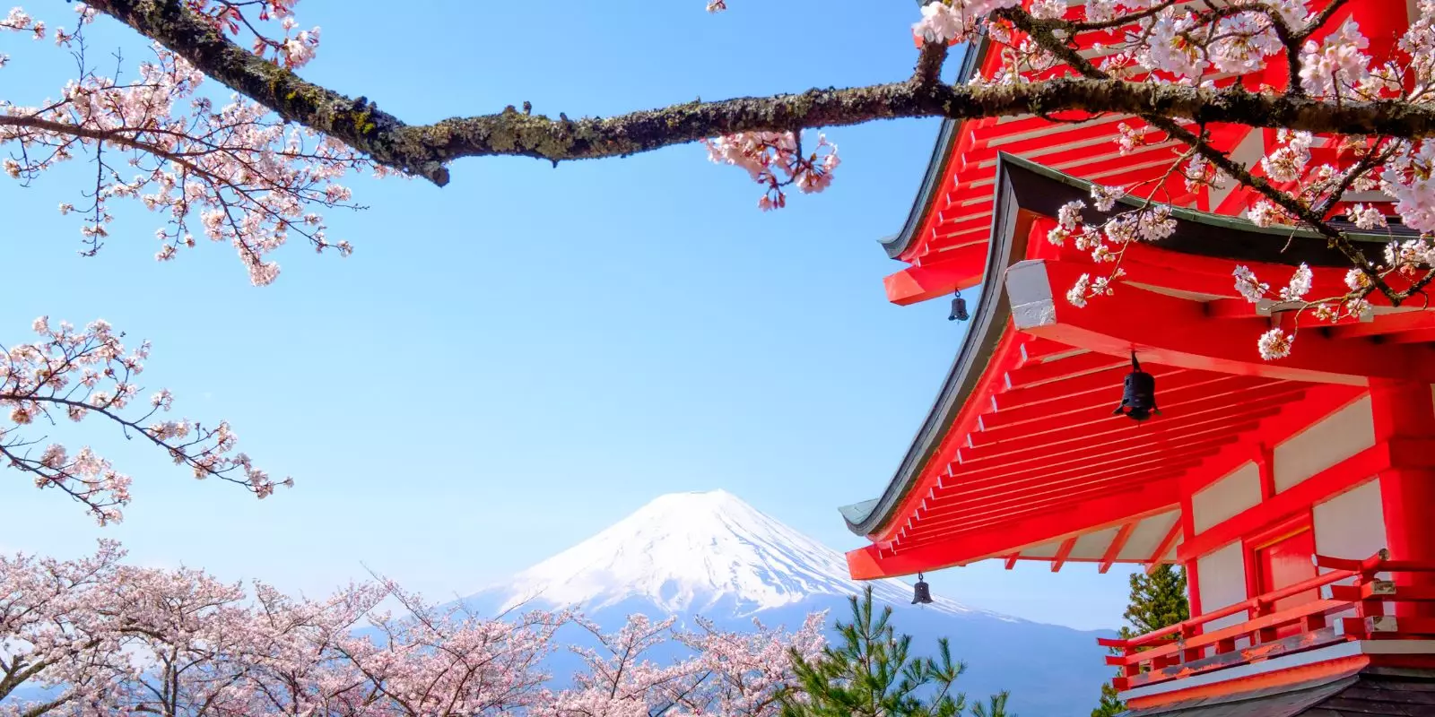 Early Bird Japan