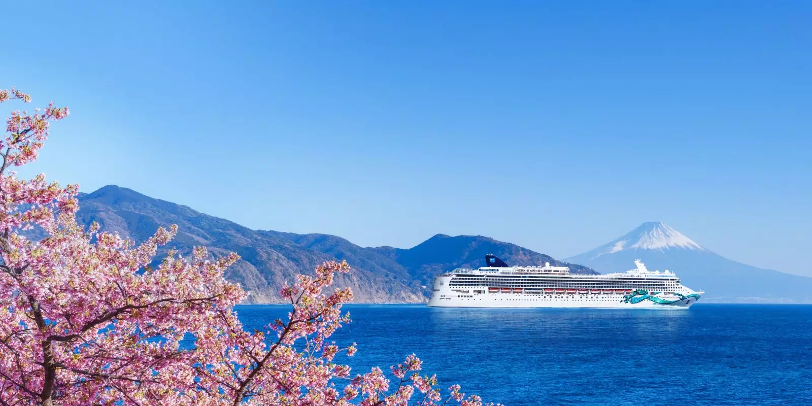 New Cruise & Tour Brochure Out Now!
