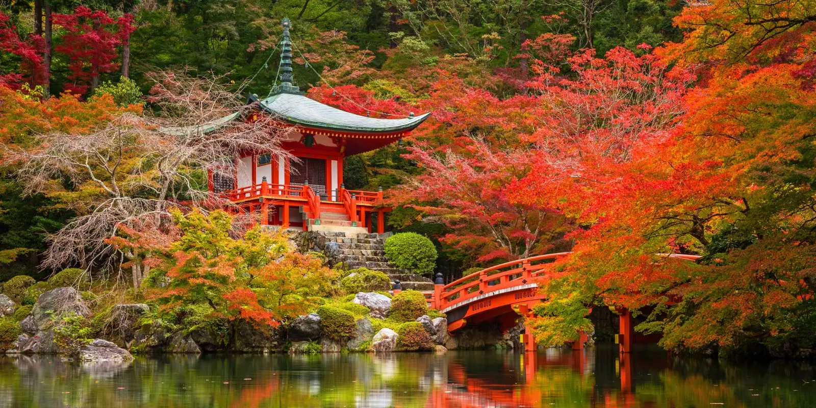 Autumn Sale