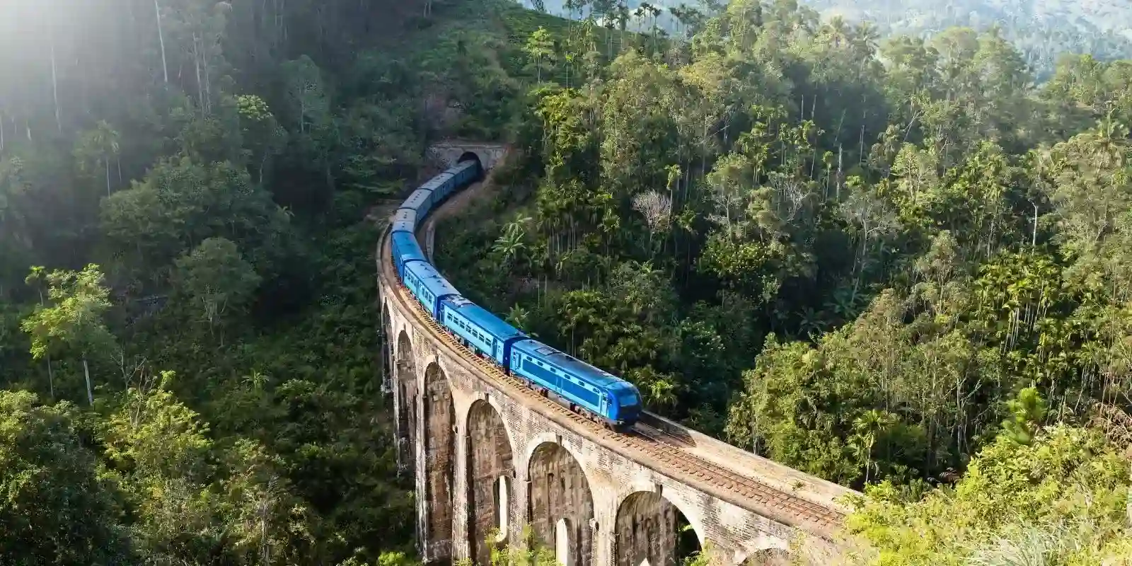 Rail & Tour Collection Offer