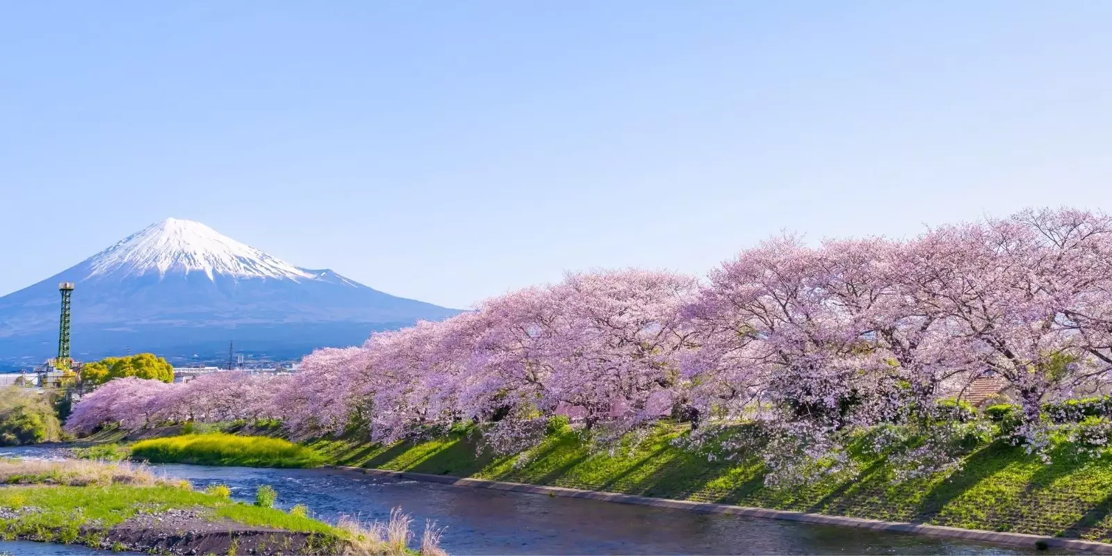 Japan Month