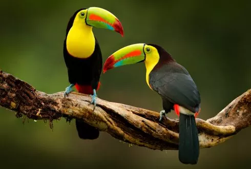 Costa Rica