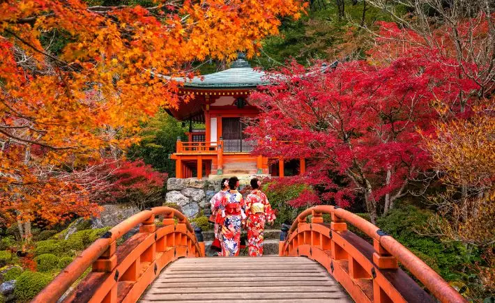 Fall for Japan in Autumn