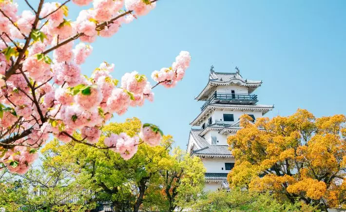 Gems of Japan & Shikoku