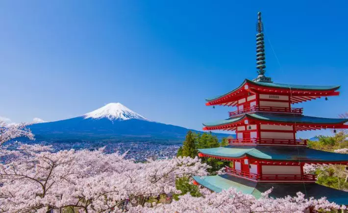 Japan Brochure Launch 