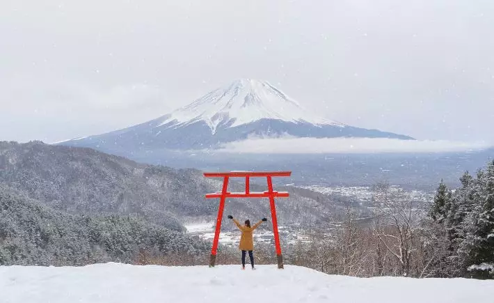 Extraordinary Christmas Journeys