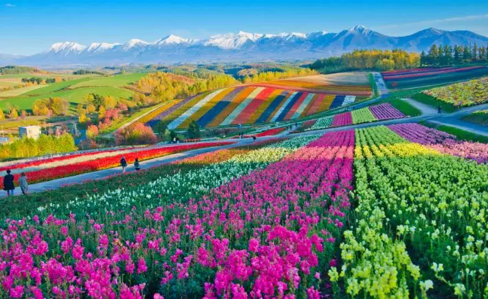 Northern Japan: Secrets of Hokkaido