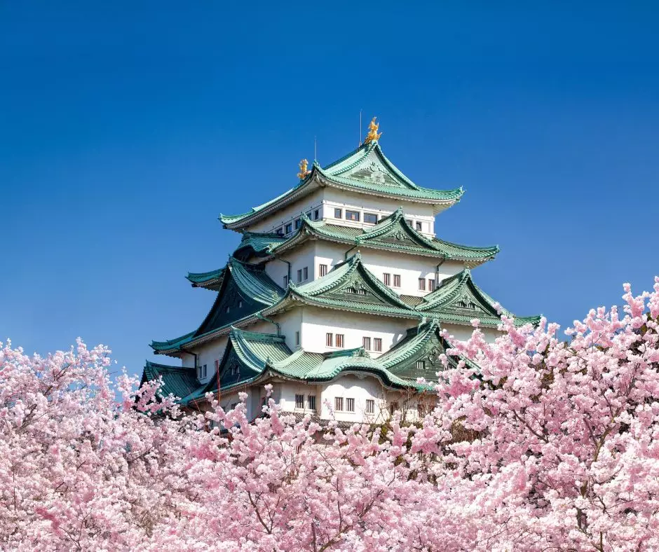 Japan In Bloom Virtual Travel Show