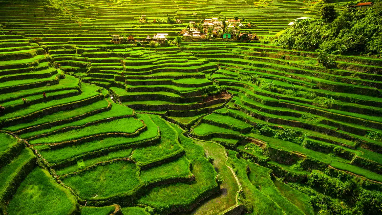 Hapao Rice Terraces