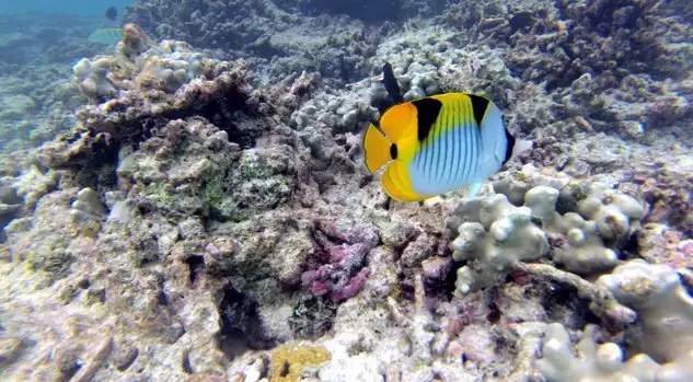 Day 9: Fly to Maldives